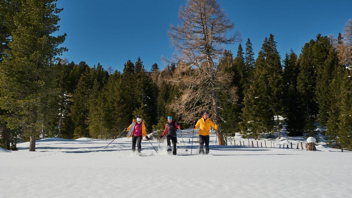 Wędrówka na rakietach śnieżnych na Schönfeld im Thomatal to wspaniała okazja by na łonie przyrody odreagować stres i znaleźć wewnętrzny spokój 