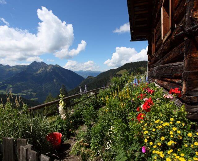 Zu einem Sommerurlaub im Großarltal eignet sich auch eine Nächtigung auf der Alm sehr gut. Im Bild: Die Maurachalm