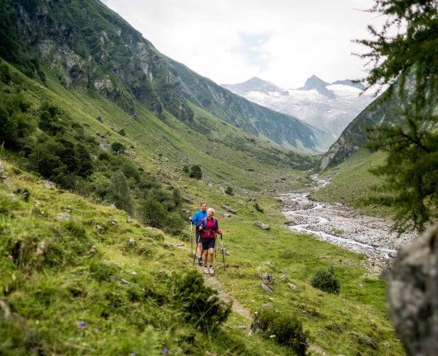 Dwóch wędrowców idzie zielonym górskim szlakiem obok skalistego strumienia, z ośnieżonymi szczytami w oddali.