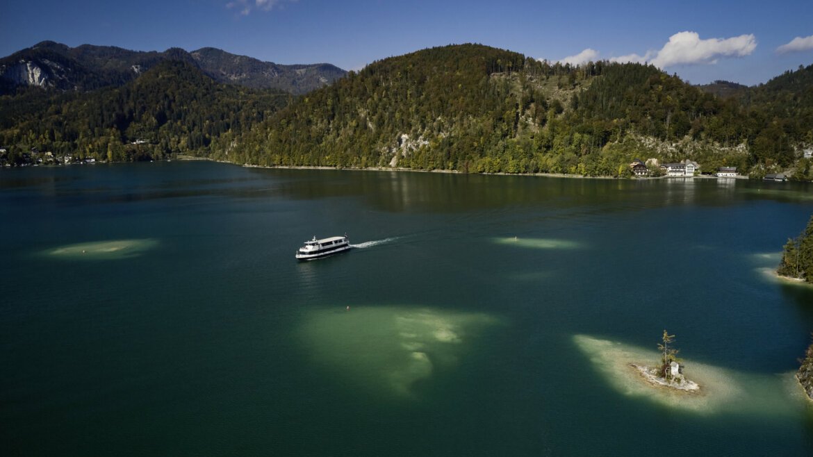 Statek białej floty WolfgangseeSchiffahrt© Salzburg AG Tourismus GmbH Łódź pływa po jeziorze Wolfgangsee, otoczonym zalesionymi wzgórzami - idealne miejsce na rejsy statkiem w Salzkammergut. (Powiększony widok)