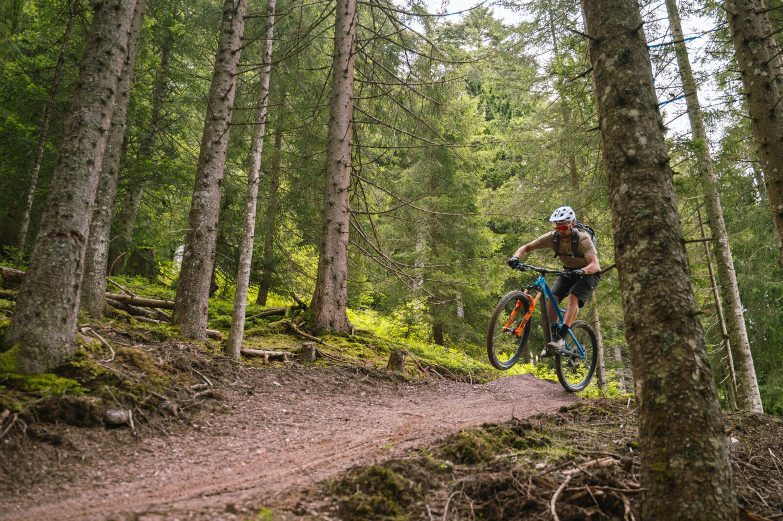 Osoba na rowerze górskim zjeżdża w dół po leśnej ścieżce, unosząc przednie koło między wysokimi drzewami.