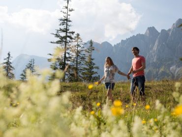 Para cieszy się wędrówkami bez bagażu, ręka w rękę przez słoneczną górską łąkę z polnymi kwiatami i sosnami.