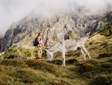 Dwóch wędrowców cieszy się turystyką pieszą w regionie Hochönig na trawiastym zboczu, zamglonymi szczytami i osiołkiem w pobliżu.