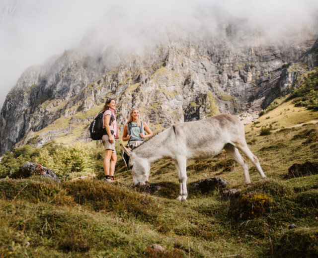 Dwóch wędrowców cieszy się turystyką pieszą w regionie Hochönig na trawiastym zboczu, zamglonymi szczytami i osiołkiem w pobliżu.
