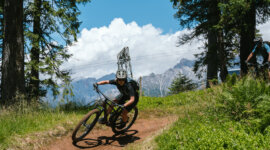 Trail_Hochkönig (1) Rowerzysta górski w kasku zjeżdża w dół po polnej ścieżce otoczonej drzewami i górami.