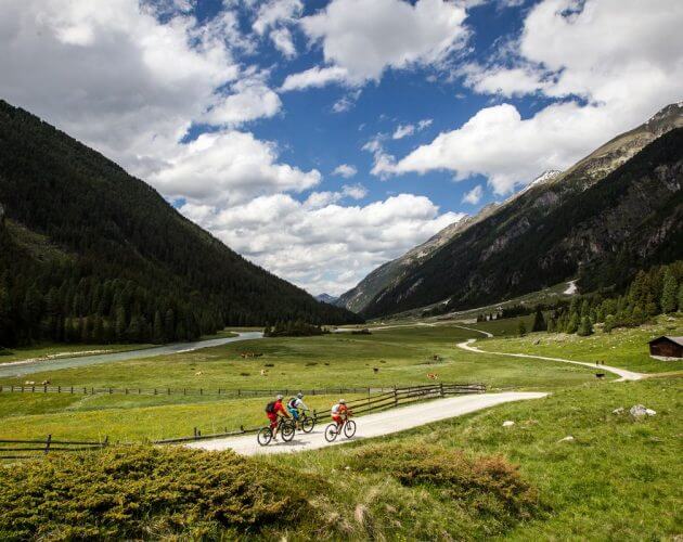Trójka rowerzystów przemierza uroczą dolinę Wysokich Taurów na e-rowerach. Z lewej widać rzekę Salzach, a na mijanej łące pasą się krowy.