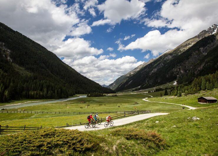 Trójka rowerzystów przemierza uroczą dolinę Wysokich Taurów na e-rowerach. Z lewej widać rzekę Salzach, a na mijanej łące pasą się krowy.