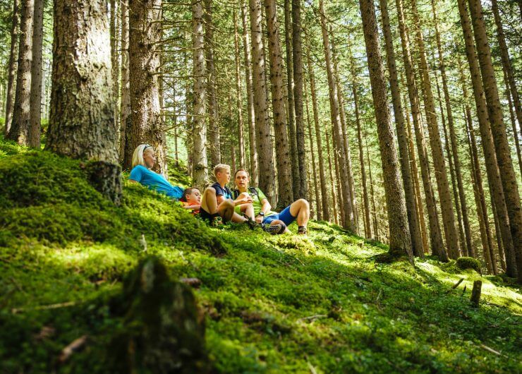 Rodzice z dwójką dzieci odpoczywają na zielonej polanie wśród drzew, w lesie w Rauris na Ziemi Salzburskiej.