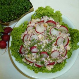 Na płaskim talerzu rozłożone liście zielonej, karbowanej sałaty, a na nich sałatka z rzodkiewek i jabłek posypana świeżą rzeżuchą.