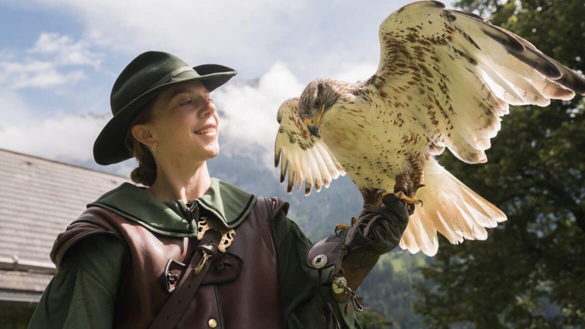 W zamku Hohenwerfen na Ziemi Salzburskiej sokolniczka w renesansowym stroju pokazuje umiejętności swoich skrzydlatych podopiecznych.