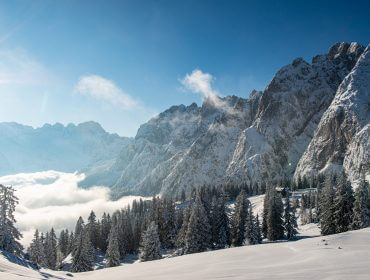 Śnieżny górski krajobraz z sosnami i światłem słonecznym świecącym nad ośnieżonymi szczytami Dachstein West.