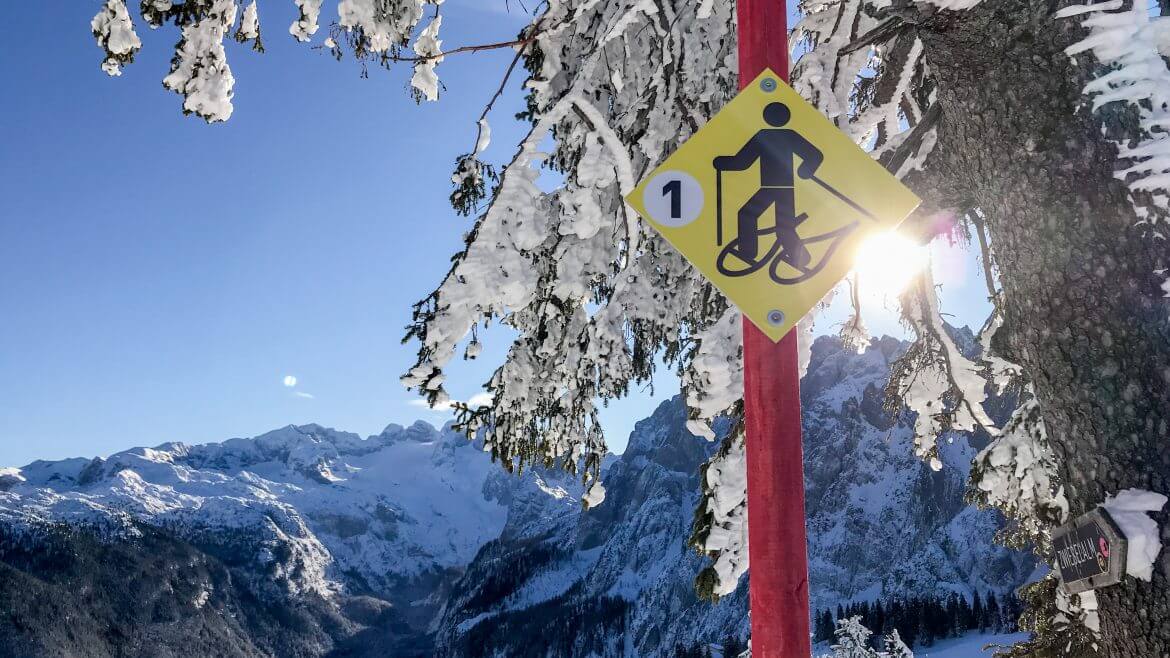 Szlak do wędrówek na rakietach śnieżnych na Zwieselalm w Dachstein West oznakowany jest czerwonymi słupkami z żółtymi tabliczkami 