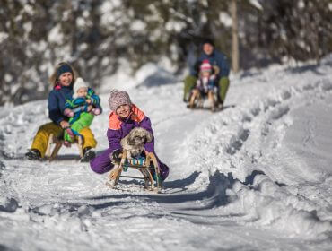 Troje dzieci, dwoje dorosłych i psi zaprzęg zjeżdżają z ośnieżonego wzgórza sanki w salzburskim saalachtalu.