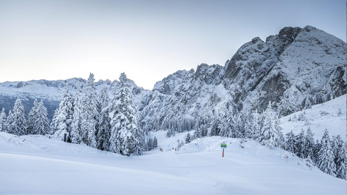 Jeszcze puste, świeżo wyratrakowane stoki narciarskie o poranku w ośrodku Dachstein West, w otoczeniu pokrytych śnieżnymi czapami drzew oraz turni i grani.