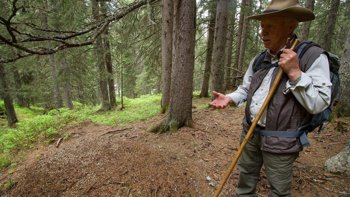 Hans, emerytowany strażnik Parku Narodowego Wysokich Taurów, przez kilka dekad prowadził turystów szlakiem wędrownym przez Puszczę Rauryską.