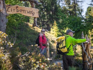Dwóch wędrowców na szlaku limbowym Graukogel Gastein, światło słoneczne przefiltrowane przez drzewa przy drewnianym znaku.