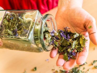 Miłośnicy ziół mają okazję spędzić na Ziemi Salzburskiej urlop pod znakiem ziół bezcennych w lecznictwie i niezastąpionych w kuchni.