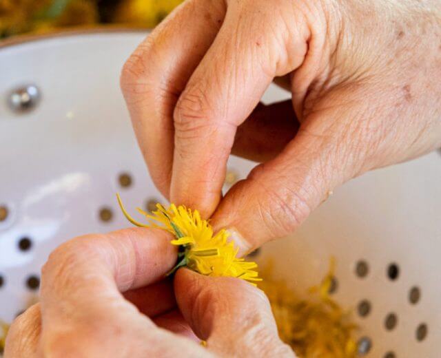 Wiele gospodarstw agroturystycznych na Ziemi Salzburskiej wyspecjalizowało się w uprawie i przetwarzaniu ziół na produkty do kuchni, leczenia i zabiegów kosmetycznych.
