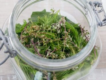 Spitzwegerich-Thymian-und-Fichtenwipfel-600×400 Szklany słoik wypełniony świeżymi zielonymi ziołami, idealny do przygotowania naturalnego syropu na kaszel.