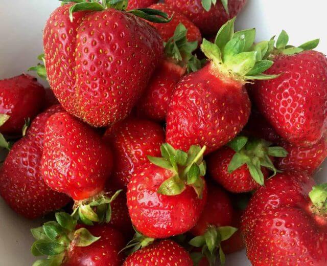 Dojrzewające na słońcu truskawki z Ziemi Salzburskiej są soczaste, słodkie i rozpływają się w ustach.