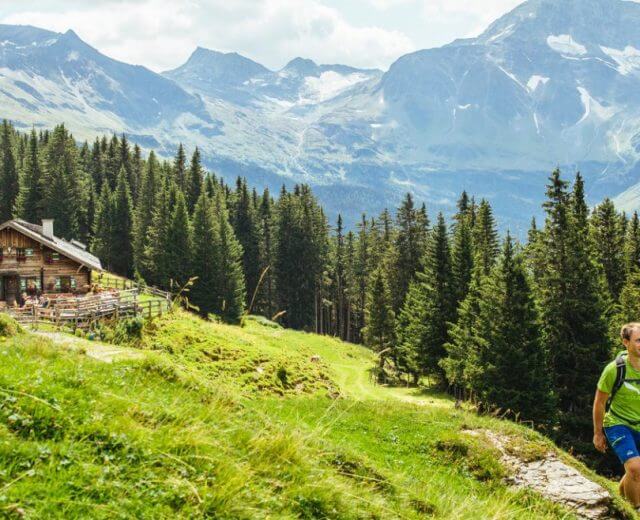 Rodzina wędruje trawiastym górskim szlakiem w Lato w Raurisertal, z sosnami, chatą i ośnieżonymi szczytami za nimi.