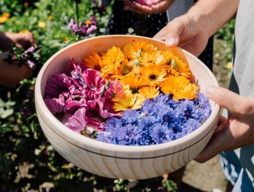 Genussreisen Nationalpark Hohe Tauern Naczynie wypełnione różowymi, chabrowymi i żółtymi kwiatami jadalnymi zebranymi w Parku Nardowym Wysokich Taurów.