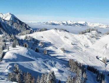 Ośnieżone góry i drzewa pod czystym, błękitnym niebem z odległymi szczytami w tle.
