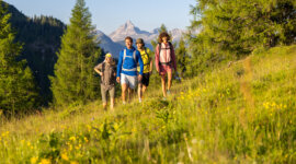 Cztery osoby wędrują trawiastym górskim szlakiem we Flachau, otoczone zielonymi drzewami i polnymi kwiatami pod czystym niebem.
