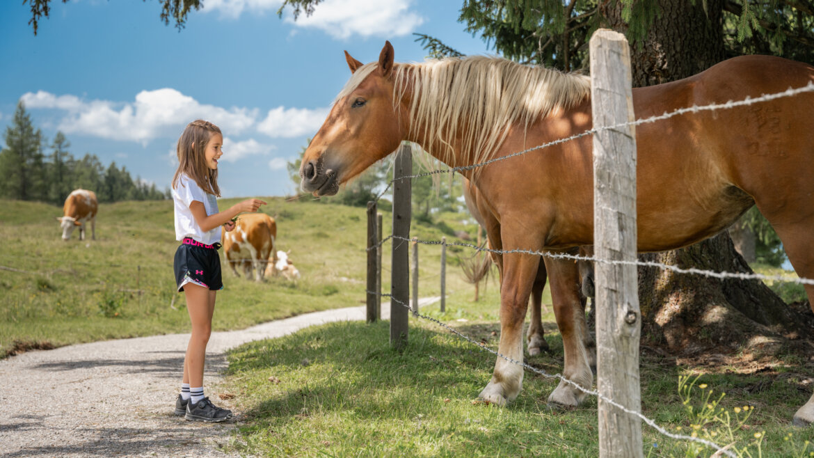 Wysoko w górach w St. Johann czeka mnóstwo atrakcji © JOsalzburg