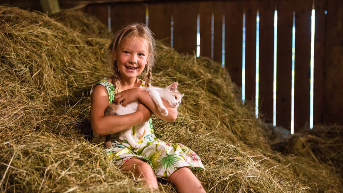 Kilkuletnia dziewczynka z blond warkoczykami siedzi na sianie w stodole i przytula białego kota.