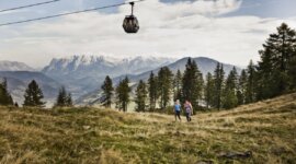 Dwóch wędrowców przemierza trawiaste pole pod sosnami i kolejkami górskimi St. Johann, a za nimi wznoszą się góry.