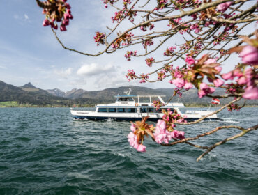 Biały prom na jeziorze w Salzkammergut, otoczony kwiatami wiśni - wiosna atrakcje turystyczne Salzburg.