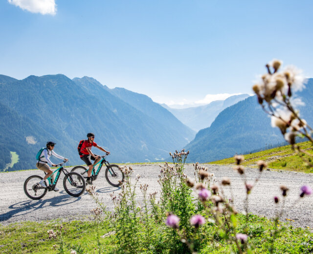 21_flachau_sommer_e-mountainbiken_frauenalm_1 Dwie osoby jadą na rowerach górskich Flachau po malowniczym szlaku, z widokiem na polne kwiaty i góry.