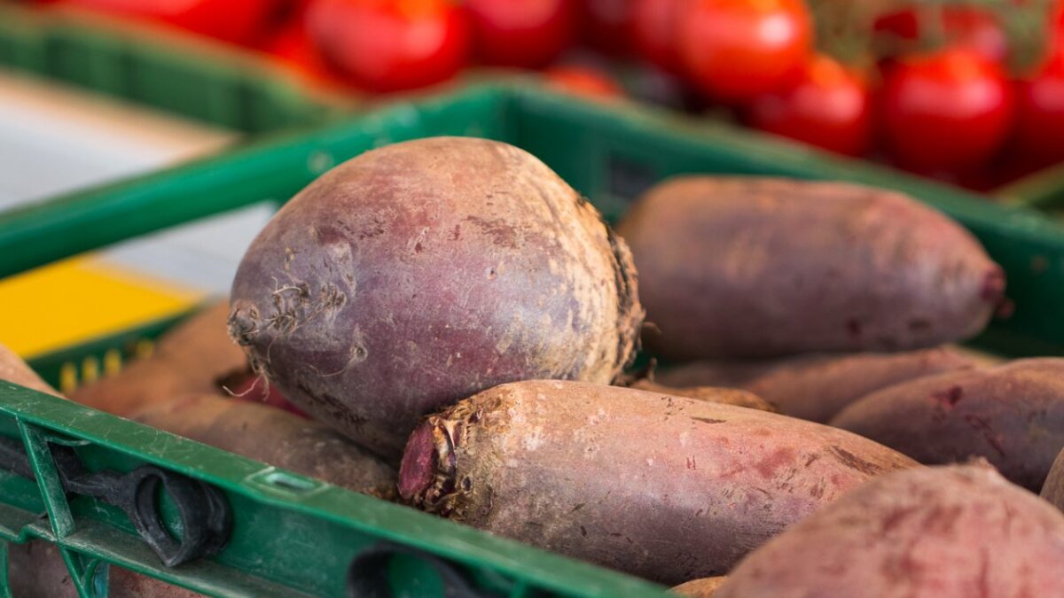 Sezon na buraki » SalzburgerLand.com Sezon na buraki » SalzburgerLand.com