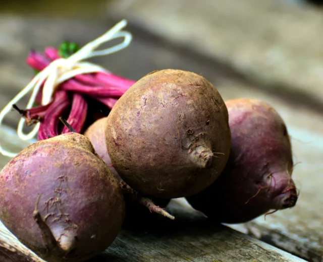 Pixabay_Rote Rüben_Header.jpg