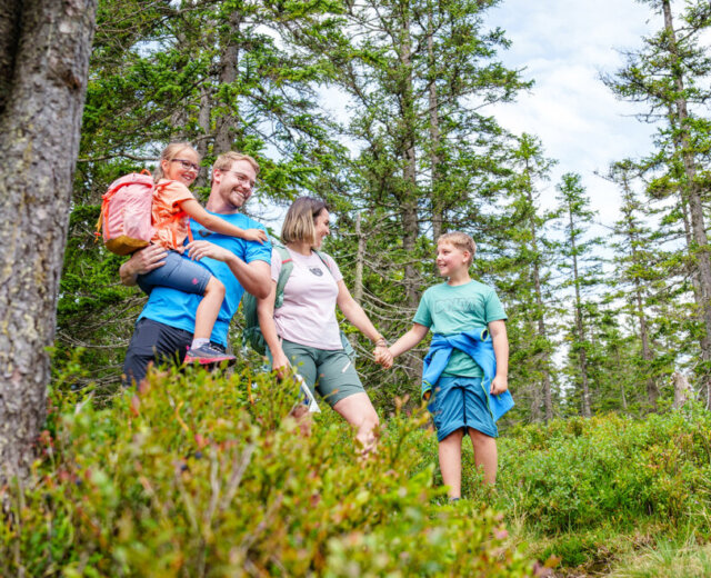 kinderleicht-wandern-am-rossbrand-in-filzmoos–gerald-oberreiter_www-filzmoos-at_-1170×658