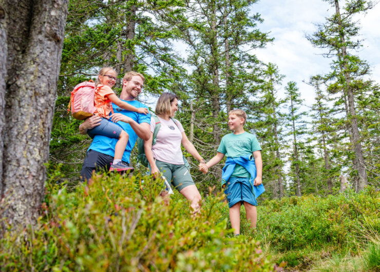kinderleicht-wandern-am-rossbrand-in-filzmoos–gerald-oberreiter_www-filzmoos-at_-1170×658