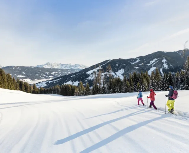 Trzy osoby idą przez zaśnieżony krajobraz we Flachau poza stokami, z górami i sosnami za nimi.