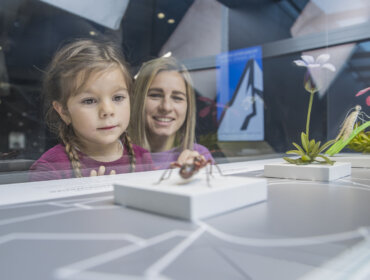 Młoda dziewczyna i kobieta uśmiechają się podczas oglądania owadów na wystawie Centrum Parku Narodowego Wysokich Taurów.