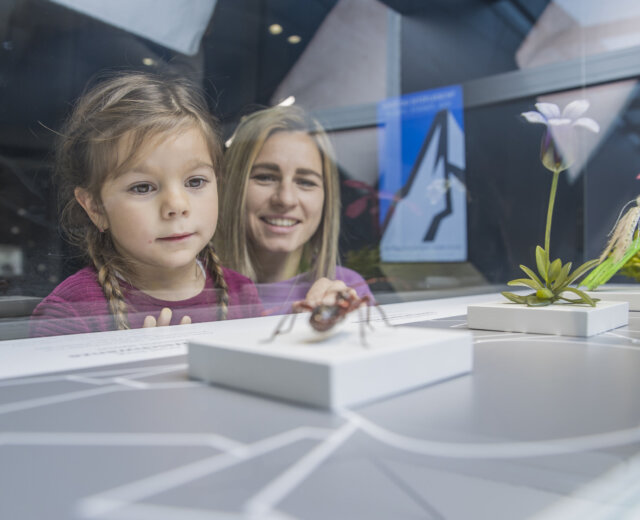 Młoda dziewczyna i kobieta uśmiechają się podczas oglądania owadów na wystawie Centrum Parku Narodowego Wysokich Taurów.