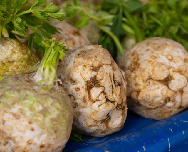 Kilka świeżych, nieumytych korzeni selera korzeniowego z zielonymi łodygami spoczywa na niebieskiej powierzchni.